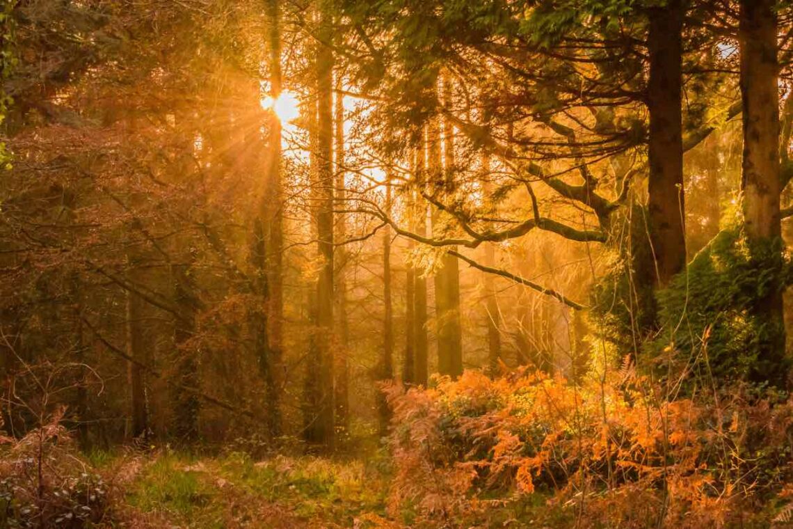 El Otoño. Paisaje otoñal